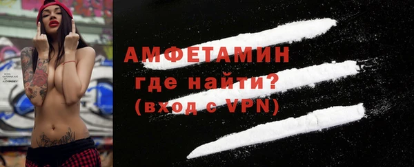 шишки Дмитровск