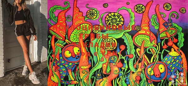 марки nbome Гусев