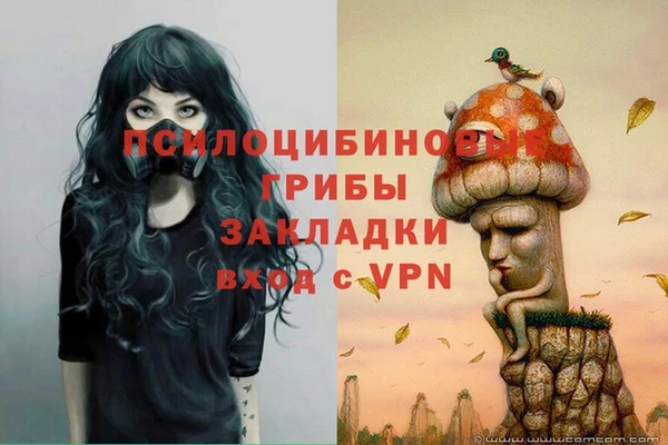 круглые Гусь-Хрустальный