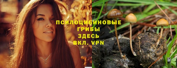 марки nbome Гусев