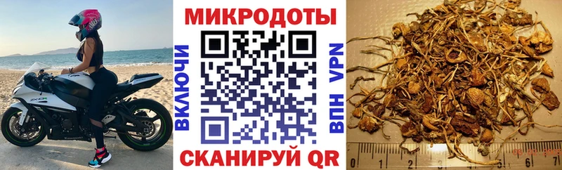 Купить где  Спасск-Дальний  Псилоцибиновые грибы MAGIC MUSHROOMS 